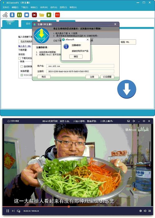 视频下载器Allavsoft v3.28.7.9473
